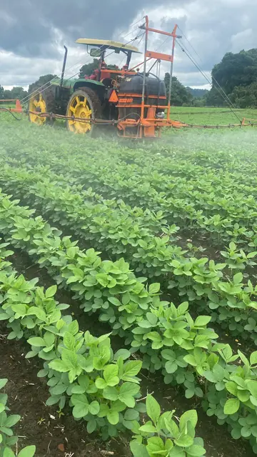 Tractor realizando una aplicación sobre un lote de soya